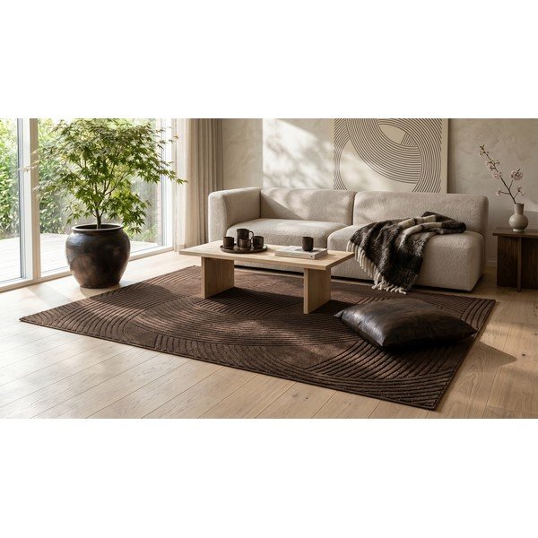 Brūns paklājs 120x170 cm Zephyr – ESTE-image-4
