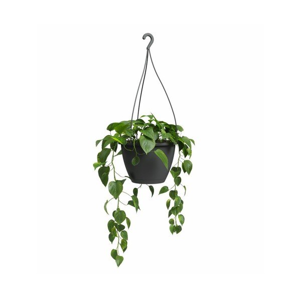 Plastmasas puķu pods ø 31 cm Algarve – Artevasi