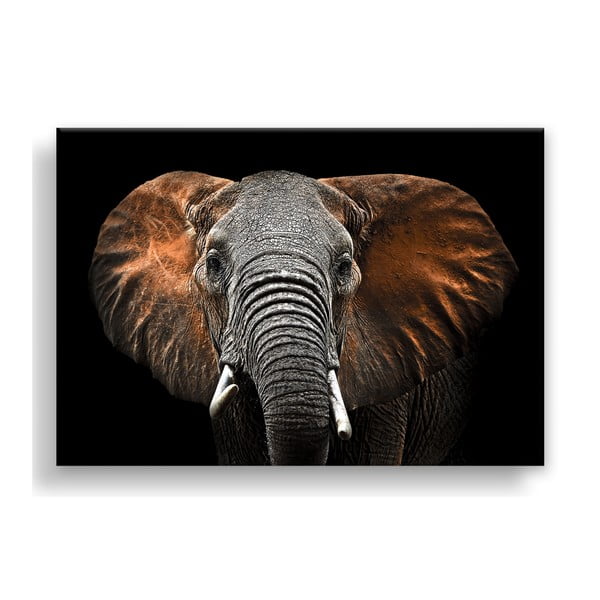 Attēls Styler Canvas Silver Uno Elephant, 85 x 113 cm