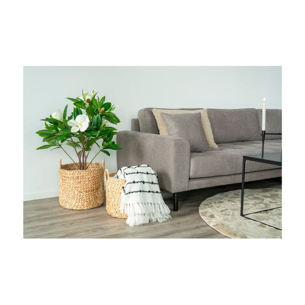 Uzglabāšanas grozi (2 gab.) no ūdens hiacintes ø 35x37 cm Passo – House Nordic-image-1