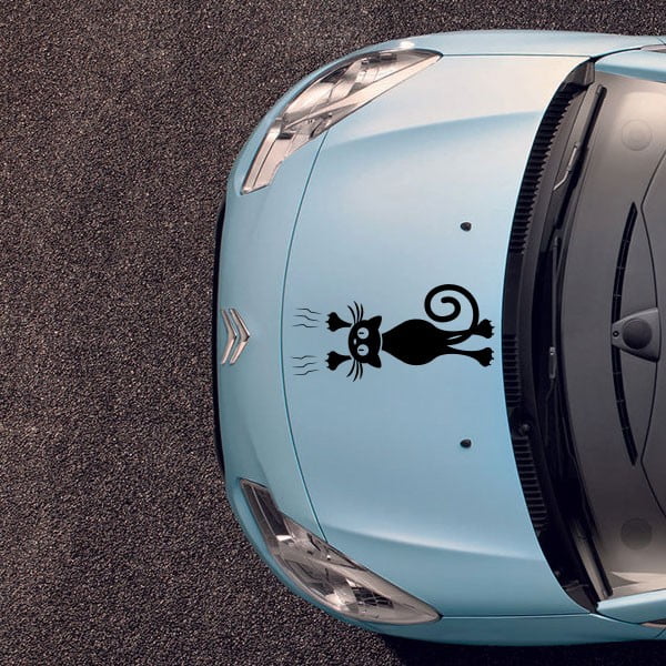 Uzlīmes Fanastick kaķis un durvis-image-1