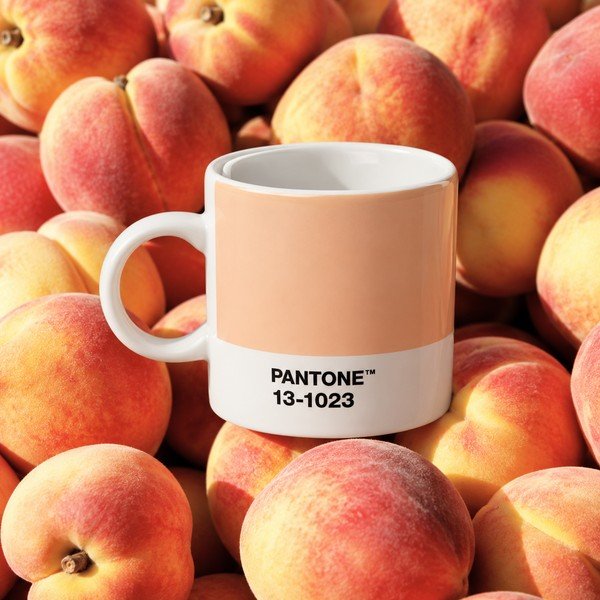 Persiku oranža espreso porcelāna tasīte 120 ml Peach Fuzz 13-1023 – Pantone-image-1