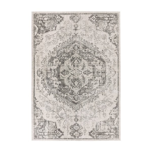 Pelēks/krēmkrāsas paklājs 200x290 cm Nova – Asiatic Carpets