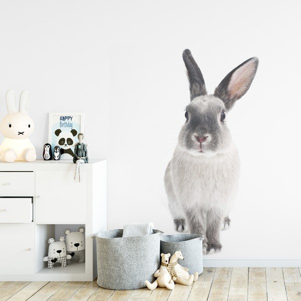Sienas uzlīme Dekornik Rabbit Harry, 53 x 115 cm-image-1