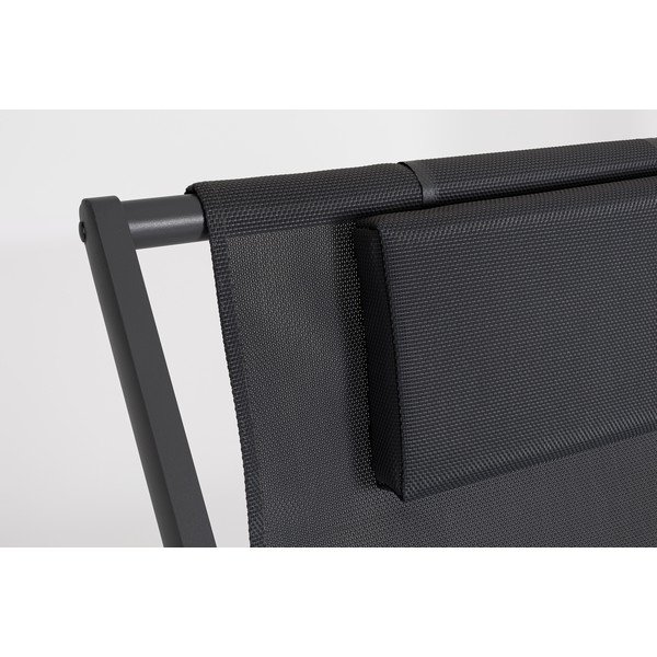 Antracīta pelēks metāla dārza zvilnis Taylor – Bizzotto-image-3