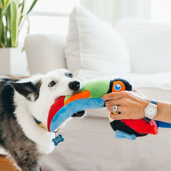 Rotaļlieta sunim Tukan - P.L.A.Y.-image-1