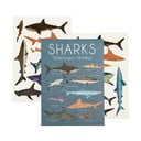 Pagaidu tetovējumi (2 gab.) Sharks – Rex London