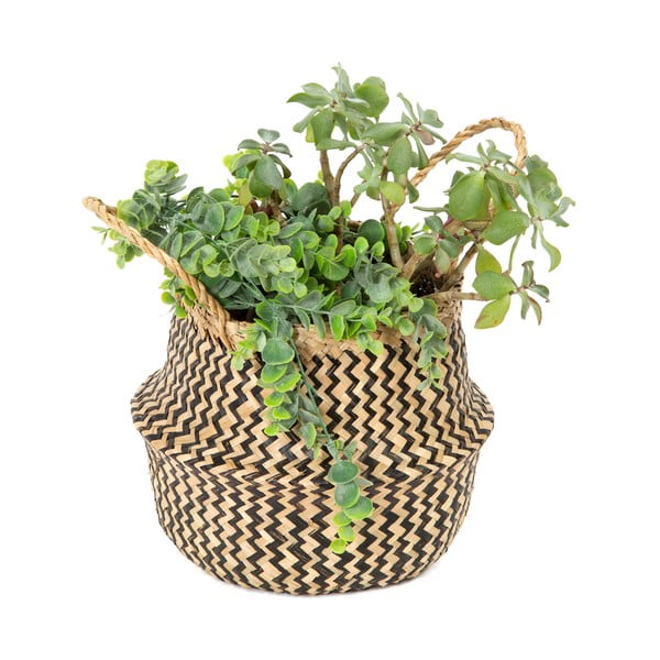 Uzglabāšanas grozs no jūraszālēm Compactor Zic Zac, ⌀ 27 cm-image-2