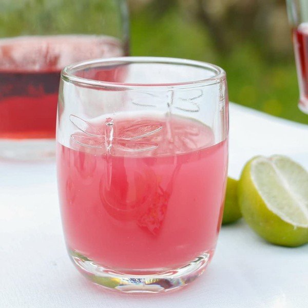 6 glāžu komplekts La Rochère Libellules, 280 ml-image-1