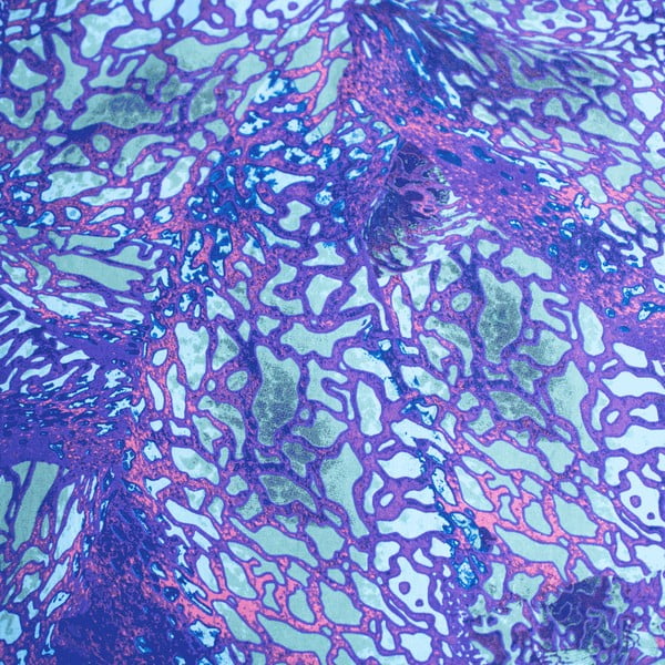 Zila vienguļamā kokvilnas bērnu gultas veļa 140x200 cm How To Train Your Dragon – Jerry Fabrics-image-4