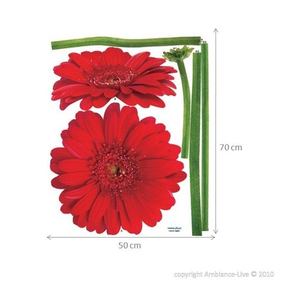 Uzlīmes Ambiance Gerbera Ziedi-image-2