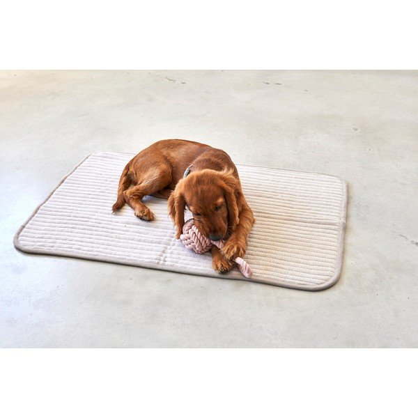 Bēša kokvilnas sega suņiem 90x120 cm Onda Greige L – MiaCara-image-3