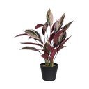 Mākslīgais augs (augstums 55 cm) Bird of Paradise – Ixia
