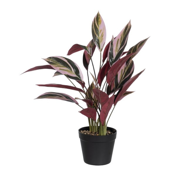 Mākslīgais augs (augstums 55 cm) Bird of Paradise – Ixia