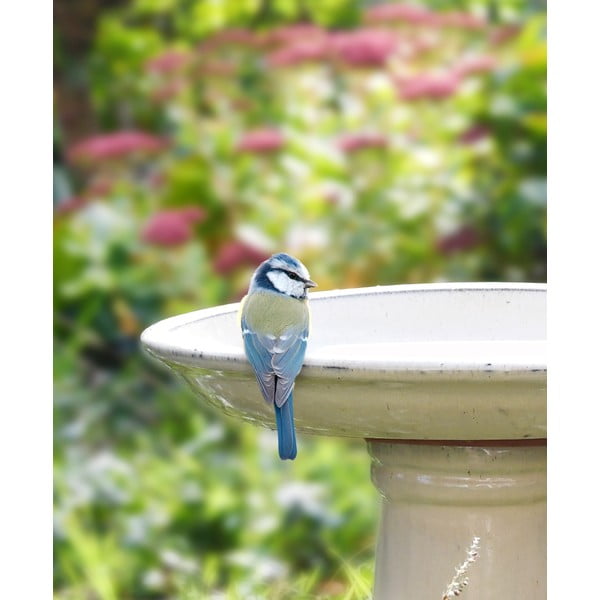 Putnu dzirdinātava – Esschert Design-image-2