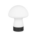 Matēti balta LED galda lampa ar stikla abažūru (augstums 18 cm) Dooley – Reality