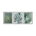 Gleznas (3 gab.) 30x40 cm – knor