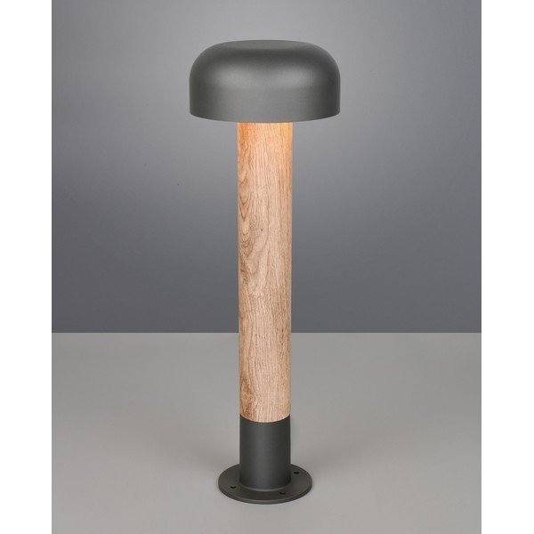 Stabveida āra gaismeklis ø 19 cm Fraser – Trio-image-1