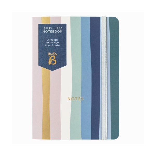 Pierakstu klade 128 lpp. – Busy B-image-2