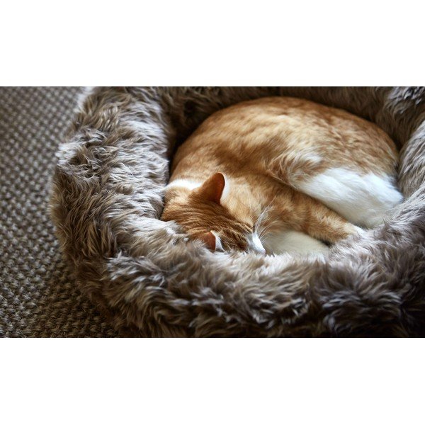 Krēmkrāsas mājdzīvnieku gulta mājdzīvniekiem no mākslīgās kažokādas ø 50 cm Lana Ivory/Mottled Natural – MiaCara-image-2
