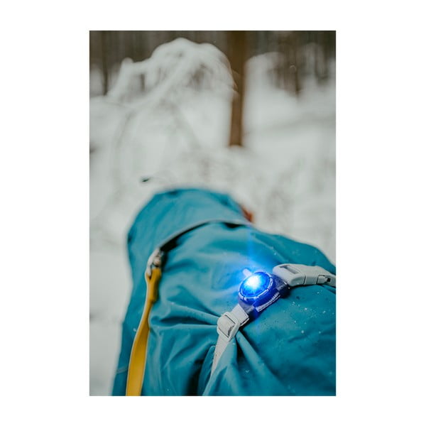 LED apkakles gaisma Blue - Orbiloc-image-3