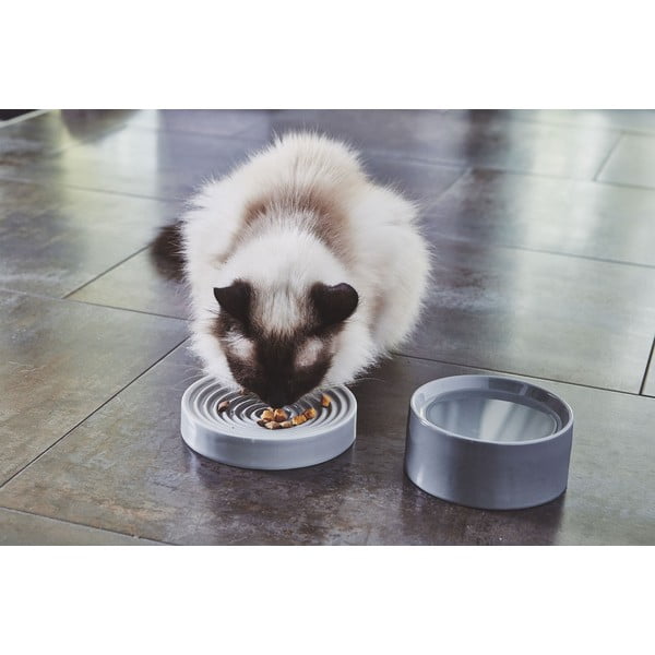 Porcelāna lēnās barošanas bļoda kaķiem ø 16 cm Piatto Concrete S – MiaCara-image-2