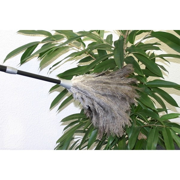 Putekļu slotiņa no strausa spalvām – Maximex-image-2