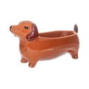 Porcelāna dekoratīva bļoda 5x14 cm Sausage Dog – Sass & Belle