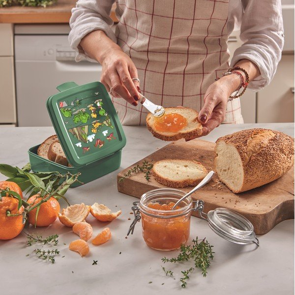 Zaļa bērnu pusdienu kārba Dinosaur – Snips-image-1