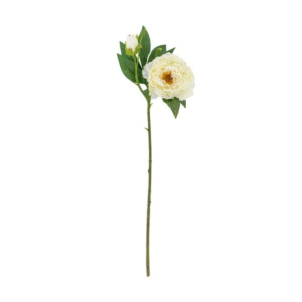 Mākslīgais augs (augstums 62 cm) Peony – Bloomingville