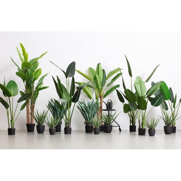 Mākslīgā agave WOOOD, augstums 68 cm-image-1