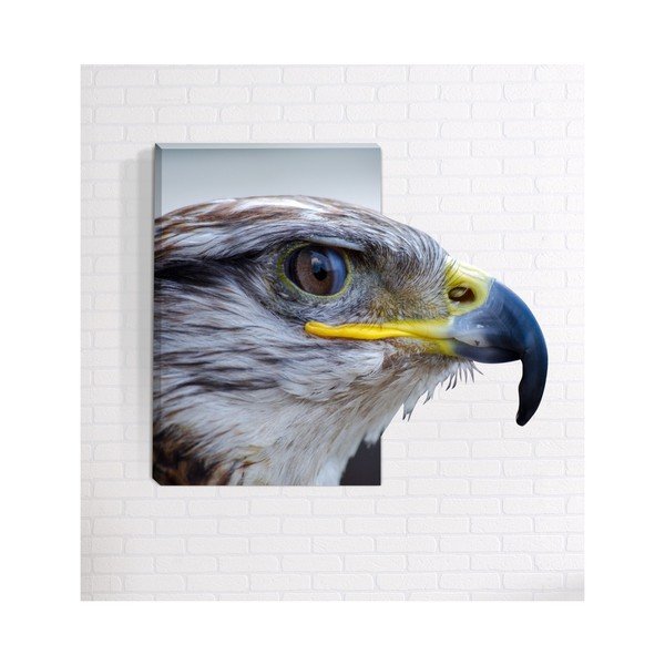 3D sienas glezna Mosticx Ērglis, 40 x 60 cm