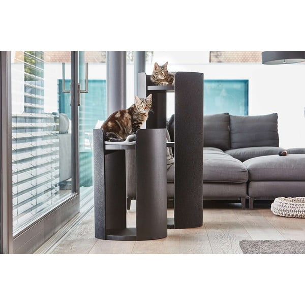 Kaķu nagu asināmais Torre Ash Black S – MiaCara-image-2