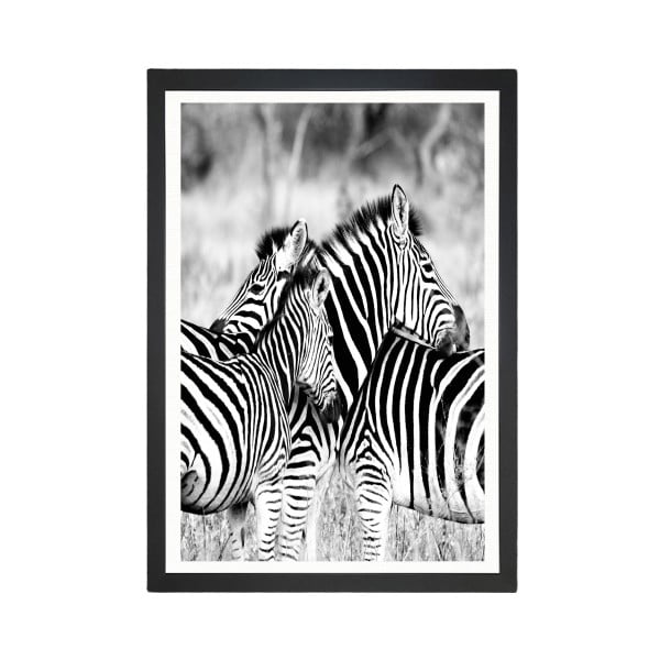 Attēls Tableau Center Zebras, 24 x 29 cm