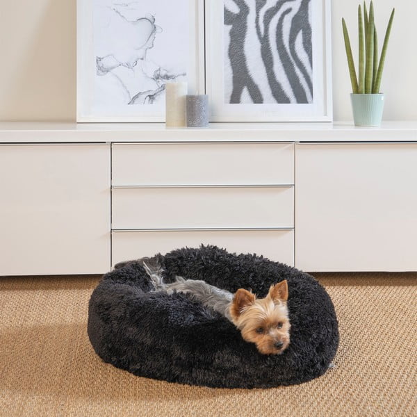 Melna gulta suņiem ø 55 cm – Love Story-image-1