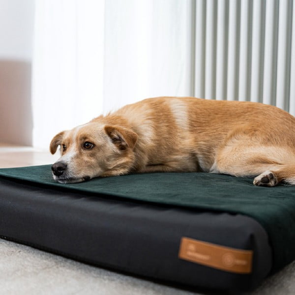 Melns ortopēdiskais matracis suņiem 90x70 cm Ori XL – Rexproduct-image-2