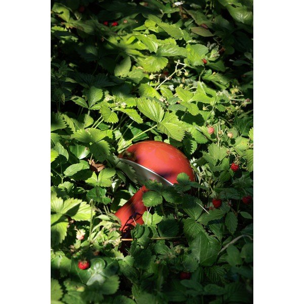 Sarkana LED galda lampa ar regulējamu spilgtumu (augstums 20 cm) Mush – Hübsch-image-4