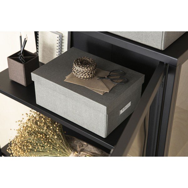 Uzglabāšanas kaste ar vāku Karin – Bigso Box of Sweden-image-1