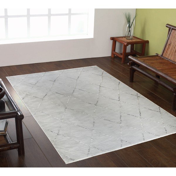 Pelēks paklājs 80x150 cm Jaipur – Webtappeti-image-1