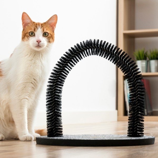 Skrāpēšanas vieta un birste kaķiem InnovaGoods-image-4