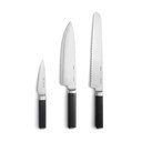Nažu komplekts ar nerūsējošā tērauda asmeni (3 gab.) Trino – FABINI