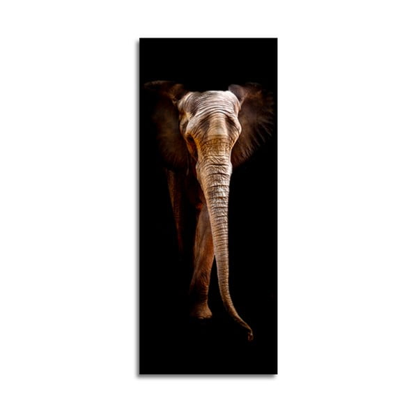 Attēls Styler Elephant, 125 x 50 cm