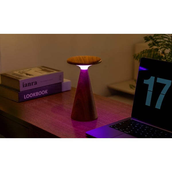 Tumša dabīga toņa LED galda lampa ar koka abažūru (augstums 21 cm) Sylva – Gingko-image-2