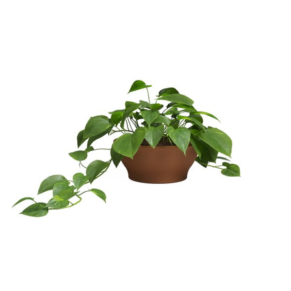 Terakotas puķu pods ø 23 cm Saramago – Artevasi-image-2