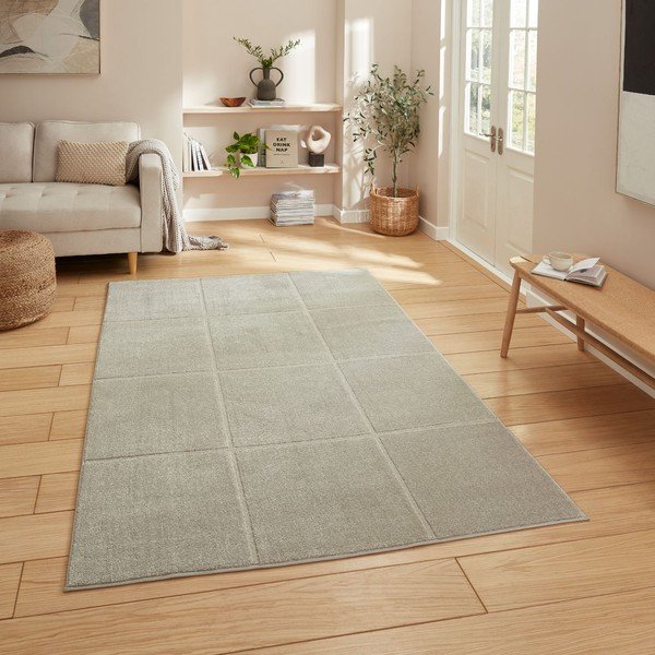 Gaiši pelēks paklājs 120x170 cm Elio Silver – Think Rugs-image-1