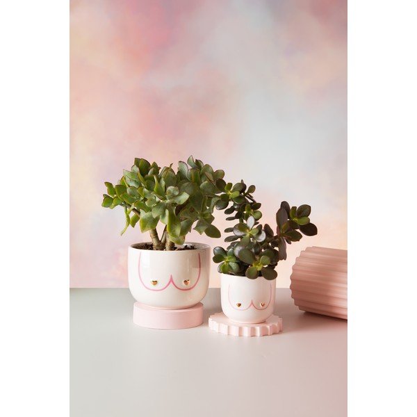 Keramikas puķu poda apvalks ø 8 cm Girl Power – Sass & Belle-image-1