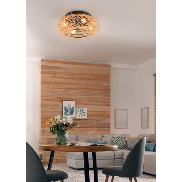 Brūna griestu lampa ar tālvadību/ar ventilatoru Lillesand – Trio-image-2