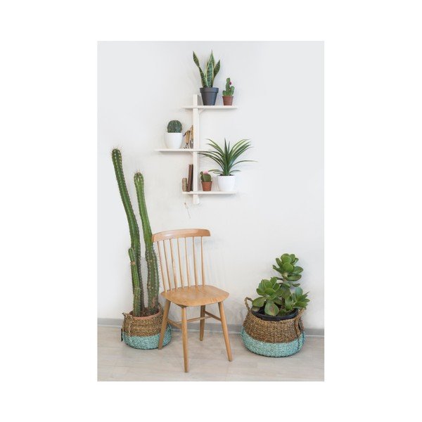 Egles koka puķu plaukts Really Nice Things Blanco-image-2