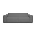 Pelēks dīvāns 228 cm Roxy – Scandic