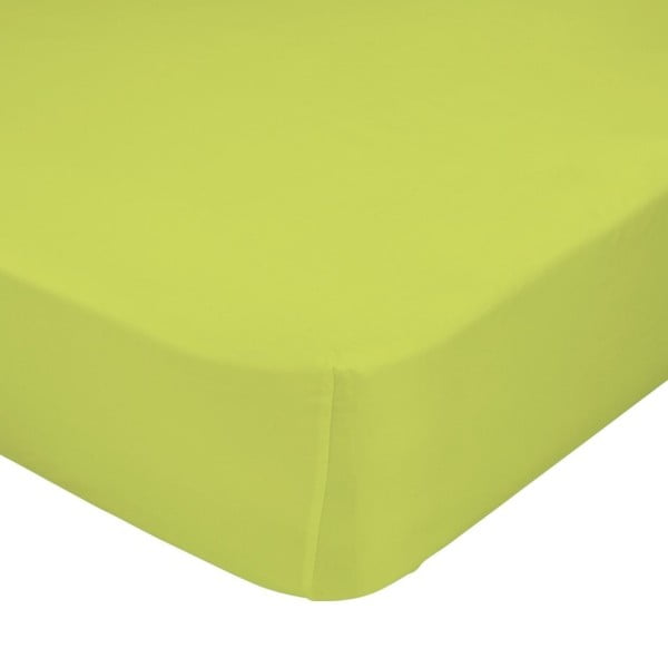 Zaļa elastīga plēve HF Living Basic, 90 x 200 cm